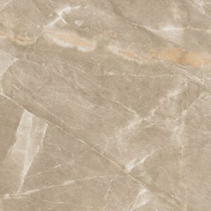 Ducato beige 600x600